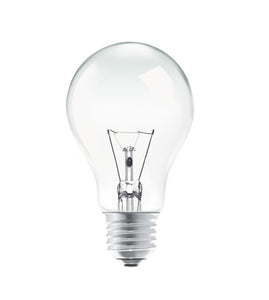 Replacement Solar Light Bulb